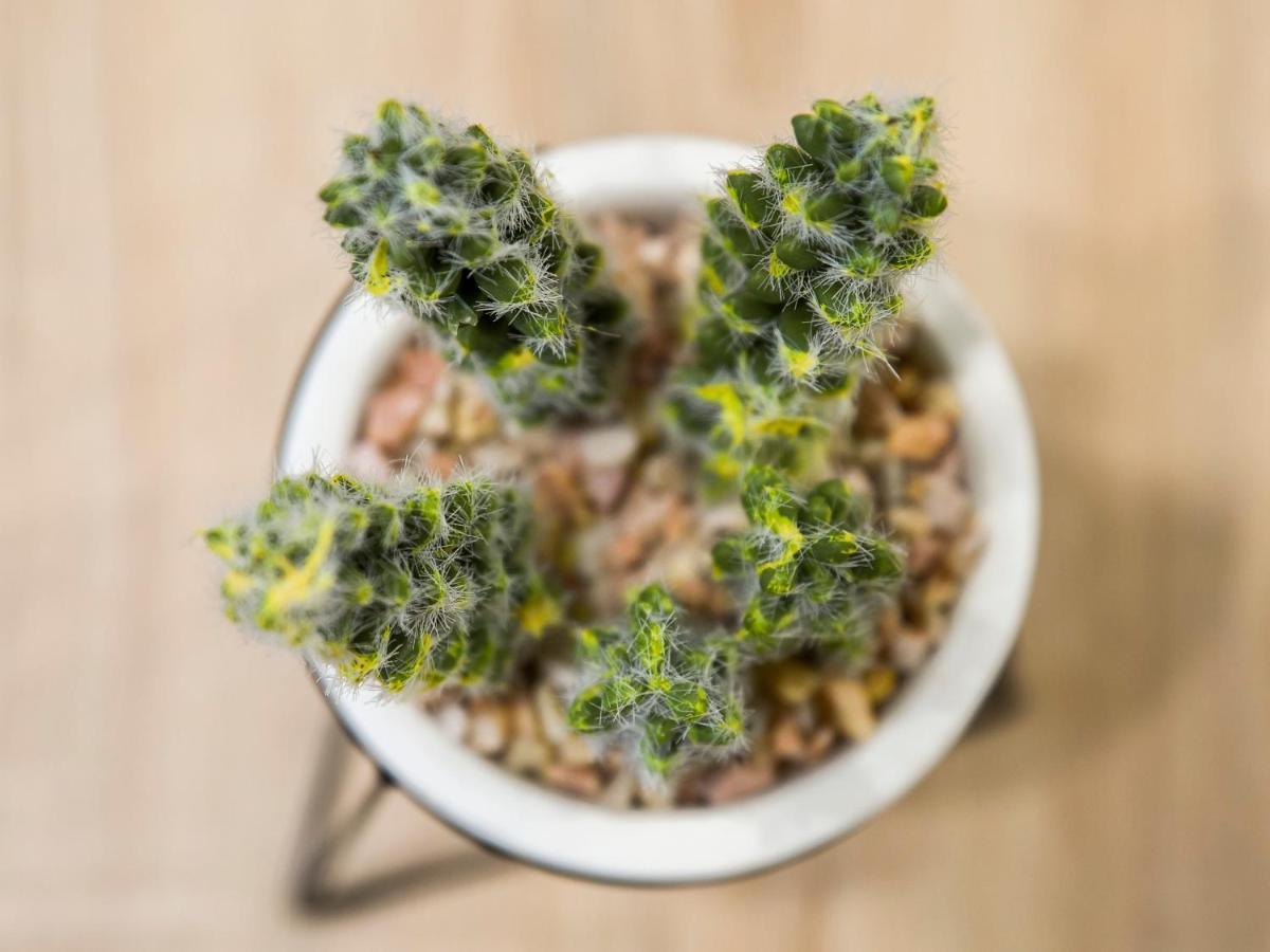 莱鲍Antracytowy Zakatek别墅 外观 照片